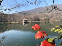 -紫霞湖公园
