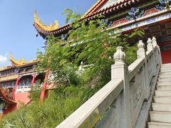 -东莞市大岭山森林公园