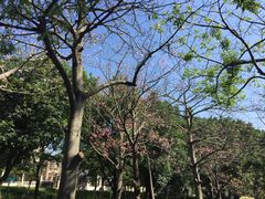 -佛山祈福仙湖酒店