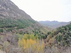 -环翠峪风景区