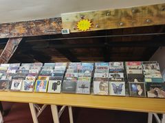 -树懒黑胶唱片店(中山路店)