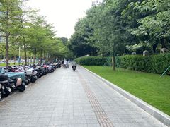 -番禺广场(市桥街道)