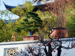 -龙华寺