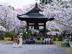 -醍醐寺