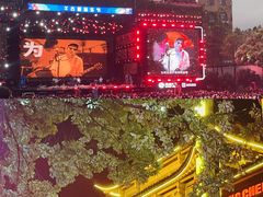-杭州宋城