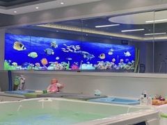 -水贝乐国际水育儿童游泳中心(新业广场店)