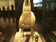 -广西壮族自治区博物馆