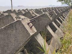 -上海滨江森林公园
