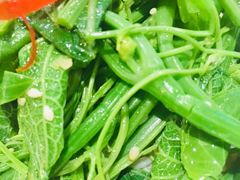 -火齐潮汕砂锅粥(五道口店)