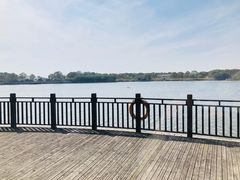 -上海都市菜园