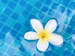 -三亚海棠湾万丽度假酒店