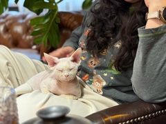 -淀里船宴(卓达店)