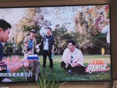 -可伦宾野生动物保护区