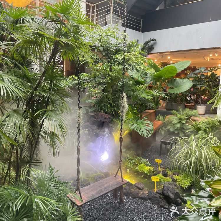 厦门植物氧吧|华美空间藏着一处热带雨林下午茶