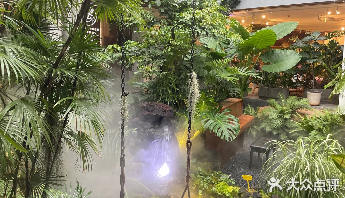 厦门植物氧吧|华美空间藏着一处热带雨林下午茶