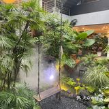 厦门植物氧吧|华美空间藏着一处热带雨林下午茶