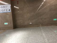 -奥体中心(地铁站)