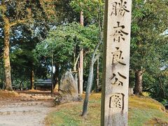 -奈良公园