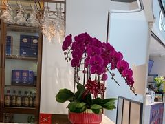 -蘭心·臻品(瑞虹太阳宫店)
