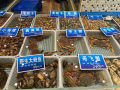 -双井轩(双井店)
