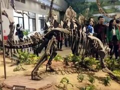 -自贡恐龙博物馆