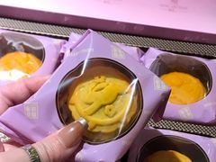 -上海新天地朗廷酒店