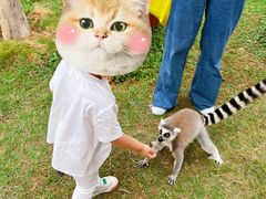 -泉州海丝野生动物世界