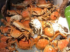 -星伦多 自助料理(圆融店)