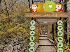 -大岭沟猕猴桃谷风景区