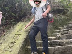 -大金鹰园