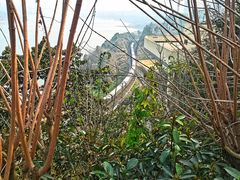 -大渡口区义渡公园