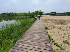 -东郊湿地公园