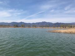 -野鸭湖国家湿地公园