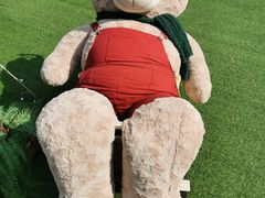 -CAMP.33露营烤肉·团建聚餐(创智天地店)