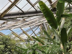 -华南国家植物园-售票处