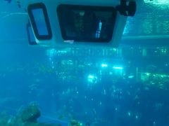 android_upload_pic-成都浩海立方海洋公园