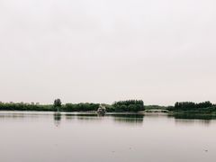 -大兴滨河森林公园