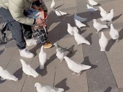 -王府井奥莱棋盘山小镇