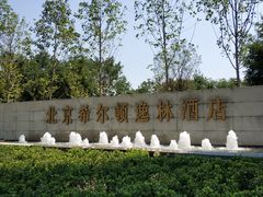 -北京希尔顿逸林酒店