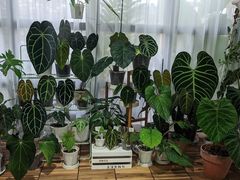 -Rabbit Cafe私房西餐甜点咖啡(栖霞路店)