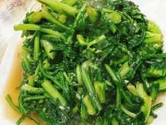 -品雅轩农家乐