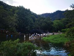 -广州市石门国家森林公园