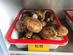 -菌海森林·非遗野生菌火锅(西山区滇池路摩根道店)