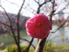 -无锡市市民中心