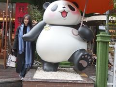 -轩客会(熊猫书店)