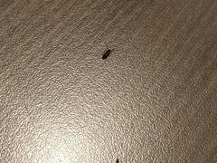 -SaladJohn沙拉匠(凯德1818店)