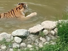 -西安秦岭野生动物园