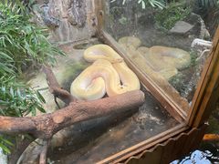 -上海大自然野生昆虫馆(东方明珠·爬宠昆虫探索中心)