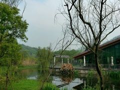 android_upload_pic-西湖风景区-江洋畈生态公园