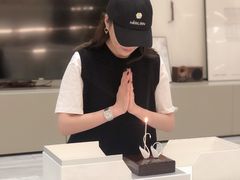 -BLACKSWAN黑天鹅(环球店)